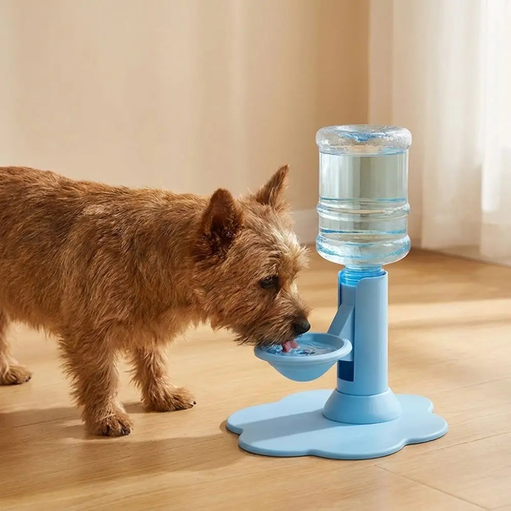 Adjustable Height Automatic Cat Water - ProPawPet.com