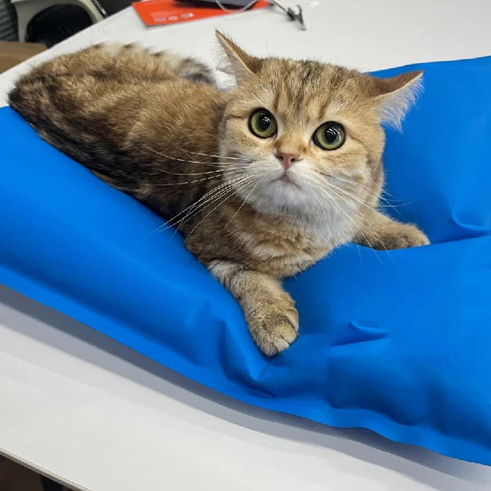 Animal Surgical Accessories Pet Vacuum - ProPawPet.com