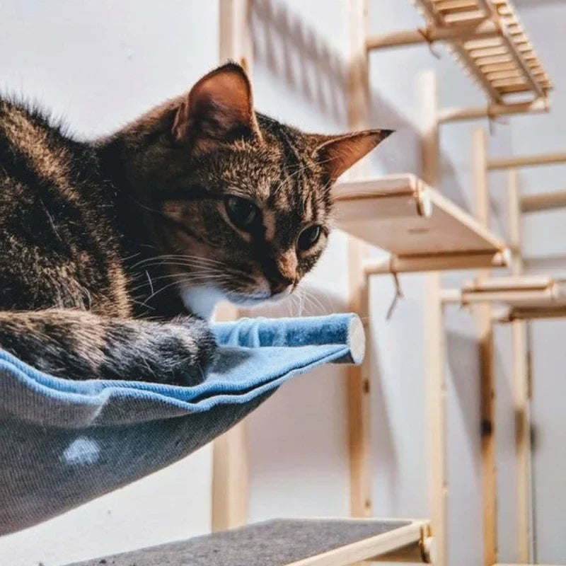 Wall Cat Hammock Pet Cats Hanging Hammocks - ProPawPet.com