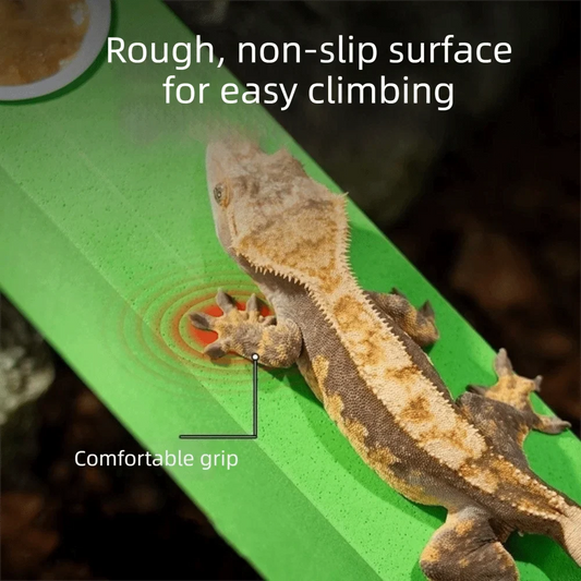 Anti Slip Lizard Feeding Stick Wear - ProPawPet.com