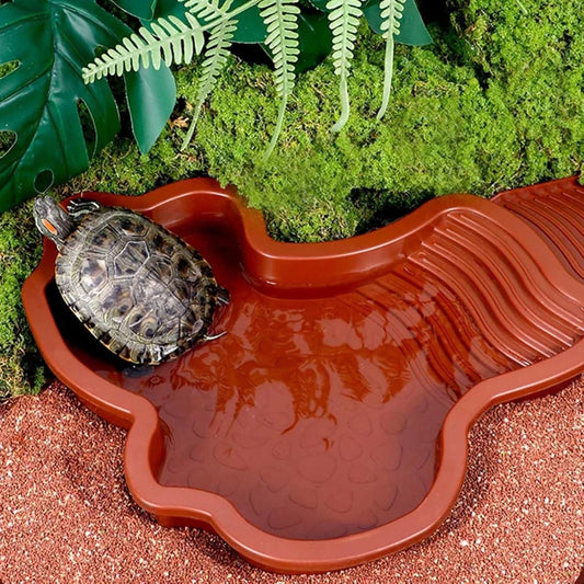 Reptile Bathing Pool Reptile Feeding Dish - ProPawPet.com