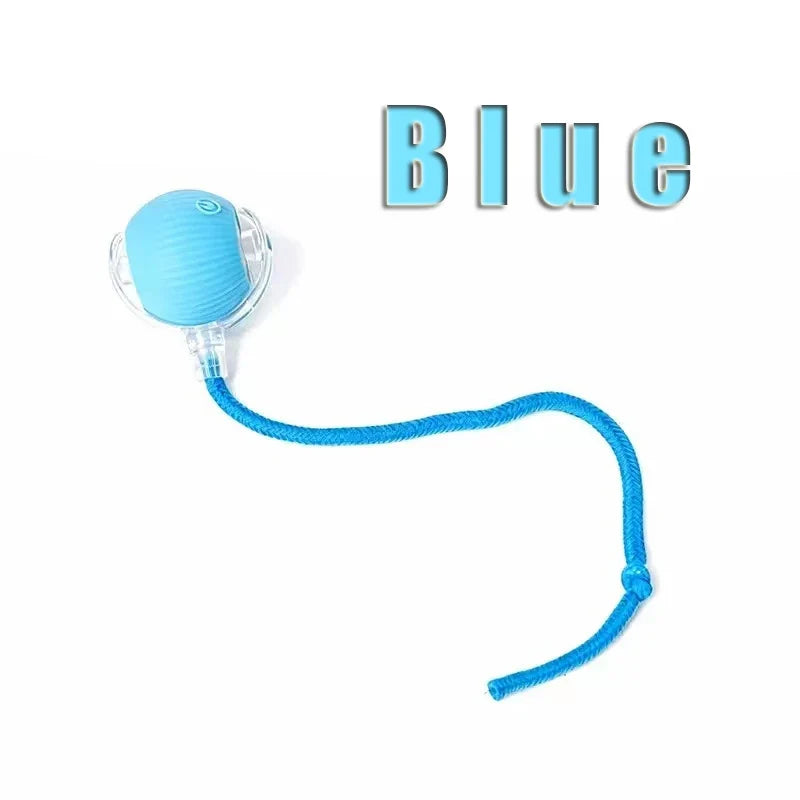 Pet Smart Interactive Ball Rechargeable Cat - ProPawPet.com