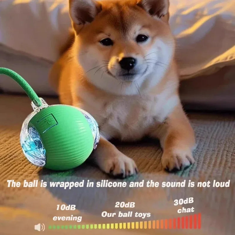 Pet Smart Interactive Ball Rechargeable Cat - ProPawPet.com