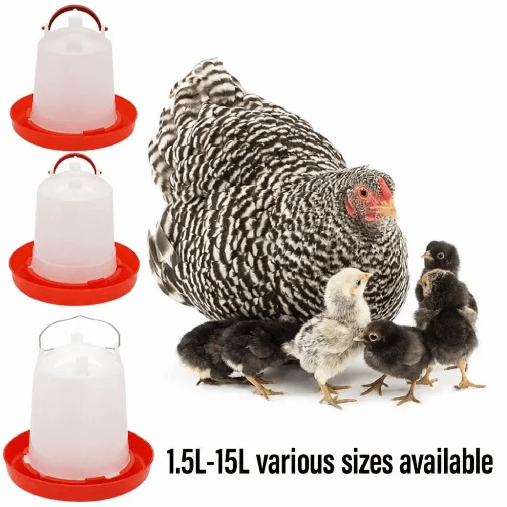 Plastic Poultry Drinker Feeder 1.5L 8L 15L - ProPawPet.com