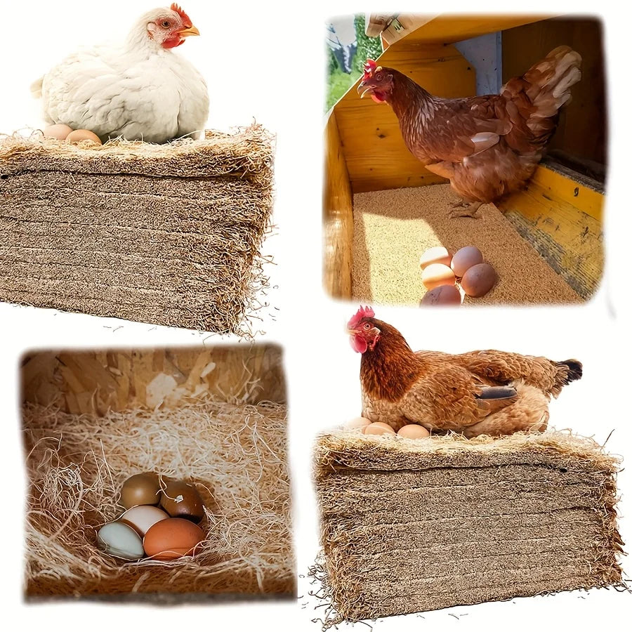 5/10pcs Chicken Coop Chick Bird Rabbit Mat - ProPawPet.com