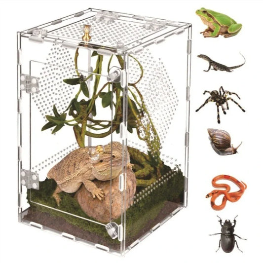 Acrylic Reptile Terrarium Desktop Removable - ProPawPet.com