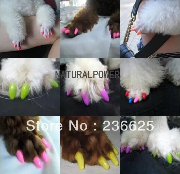 20 Pcs/Lot Pet Dog Finger Grooming Floor - ProPawPet.com