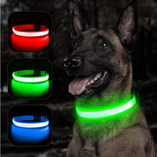 USB Rechargeable Luminous Collar Adjustable - ProPawPet.com