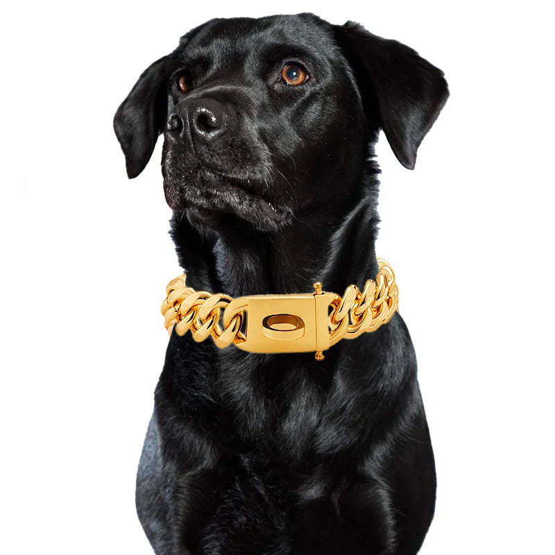 Gold Dog Collar Stainless Steel Metal Pet - ProPawPet.com
