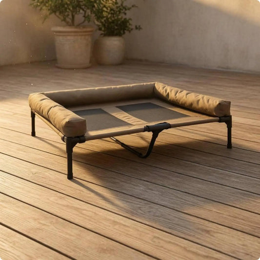 Ventilated Raised Dog Bed with Padded Rim - ProPawPet.com
