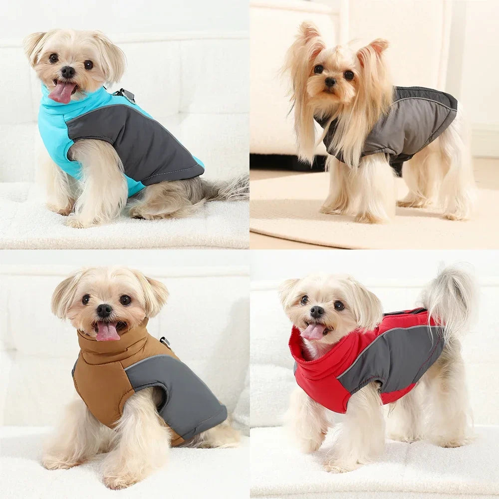 Winter Dog Jacket Warm Waterproof Clothes - ProPawPet.com
