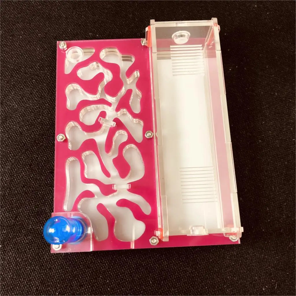 150mmx110mm test tube Moisture big space Ant - ProPawPet.com