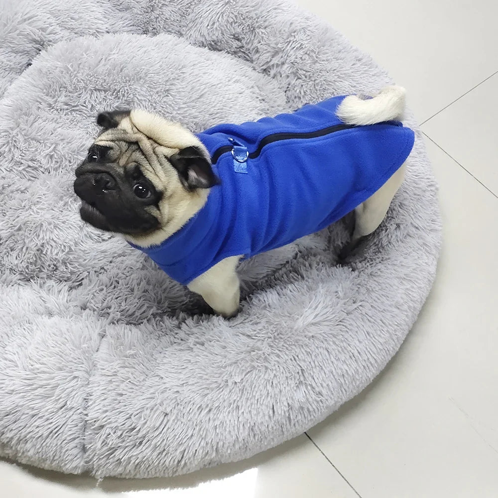 Winter Dog Clothes Soft Fleece Chihuahua - ProPawPet.com