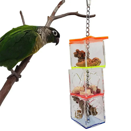 Bird Seeker Acrylic Parrot Puzzle Training - ProPawPet.com