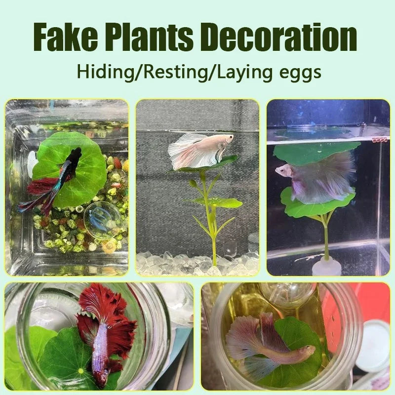 1PC Green Leaf Hammock for Betta Fish - ProPawPet.com