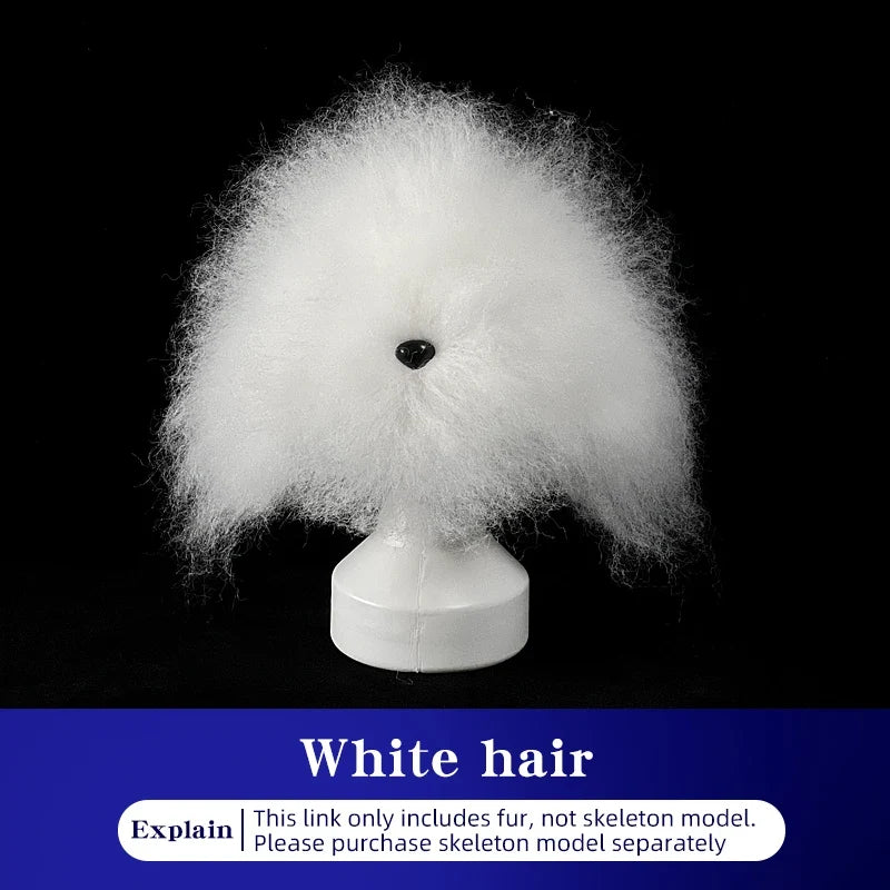 Teddy Pet Simulated Head Hair Fake Dog Beautician Practice – Dog Supplies