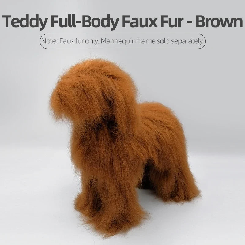Dog Hair Beautician Practice Trimming Standard Poodle Teddy – Dog Supplies