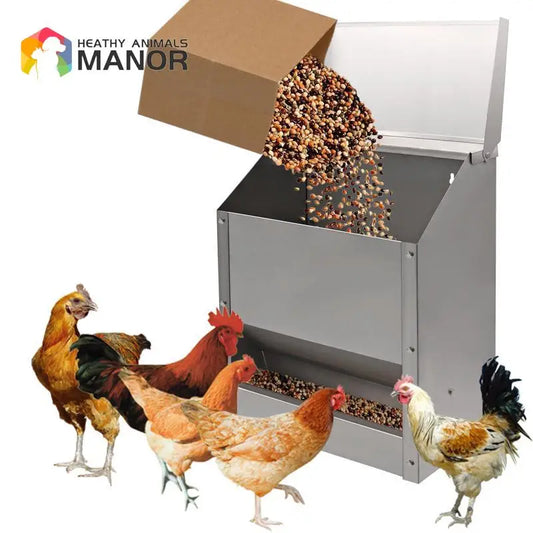 10L Stainless Steel Chicken Feed Trough Bird - ProPawPet.com