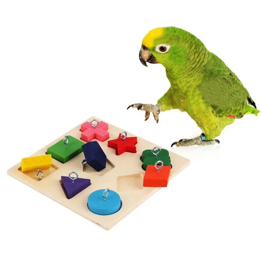 Parrot Educational Toys Parrot Interactive - ProPawPet.com