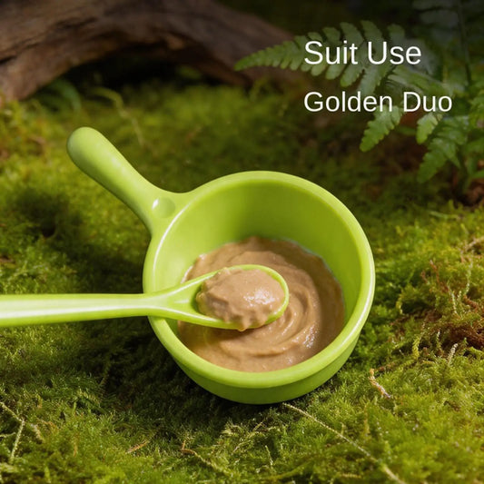 Crested Gecko Food Dish with Spoon Reptile - ProPawPet.com