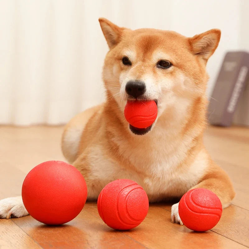 MADDEN S-XL Sizes Solid Rubber Balls Bouncy - ProPawPet.com
