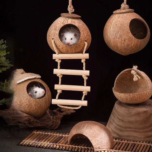 Natural Coconut Shell Hamster Nest Small - ProPawPet.com
