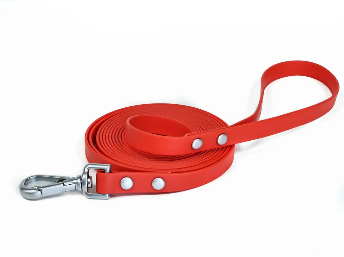 Studded Rivet PVC Dog Leash Waterproof - ProPawPet.com