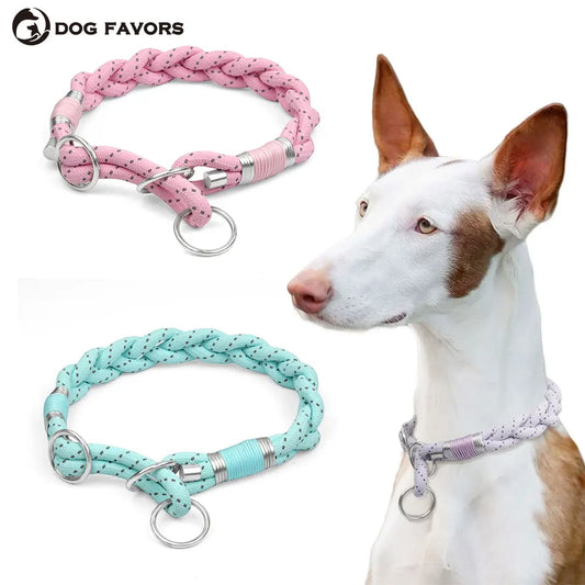 Braid Twisted Design Collar For Dog Strong - ProPawPet.com