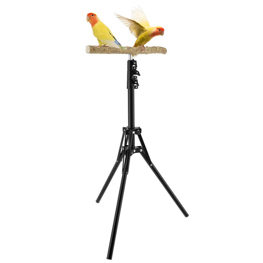 Wood Bird Branch Stand Height Adjustable - ProPawPet.com