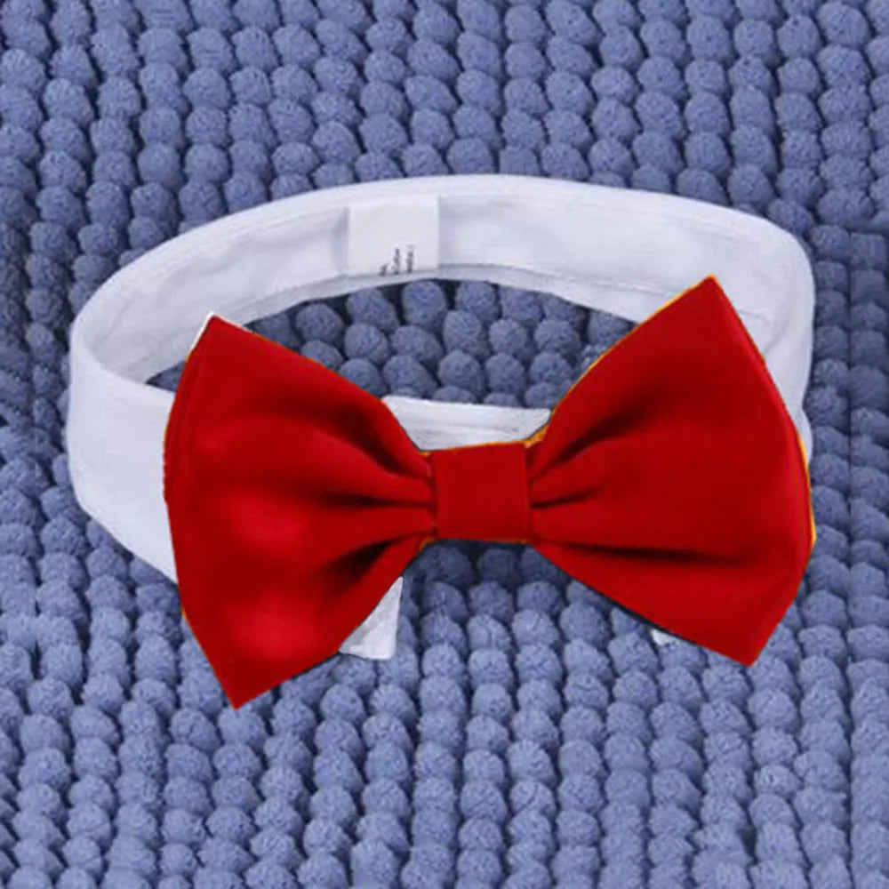 Adjustable Formal Pet Bowtie Collar Neck Tie - ProPawPet.com