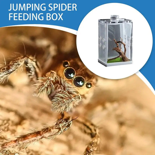 Reptile Hatching Box Terrariums