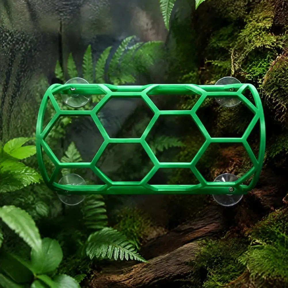 Reptile Honeycomb Climbing Shelf Suction Cup - ProPawPet.com