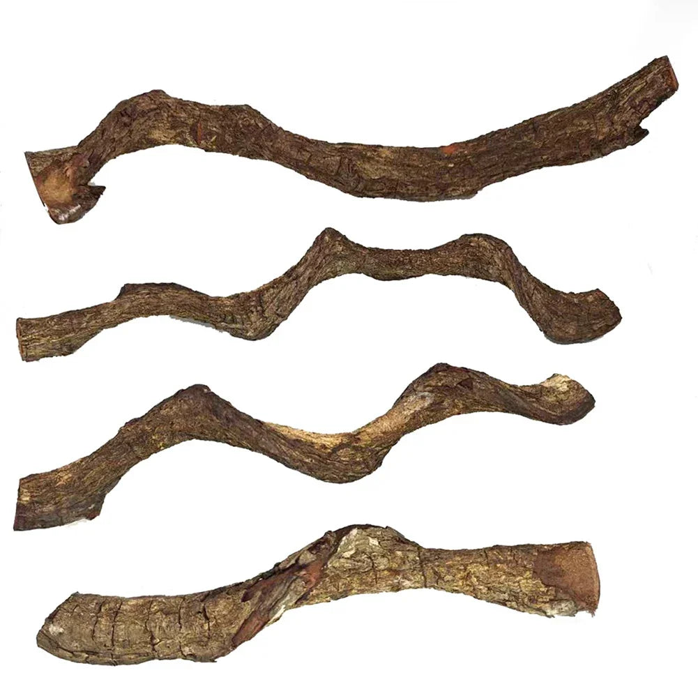 Reptile Arboreal Wood Habitat Fish Tank - ProPawPet.com