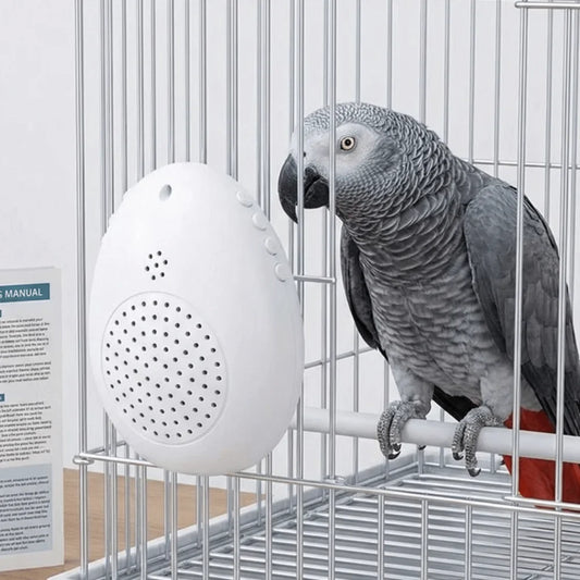 Recording Bird Learning Ma Interactive - ProPawPet.com