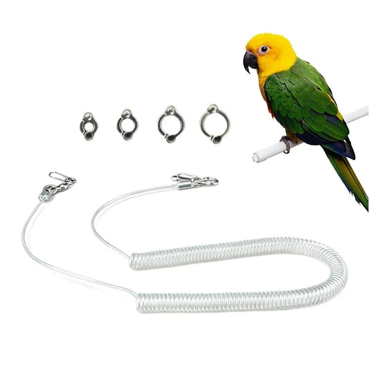 Parrot Flying Training Rope with 4 Size Bird - ProPawPet.com