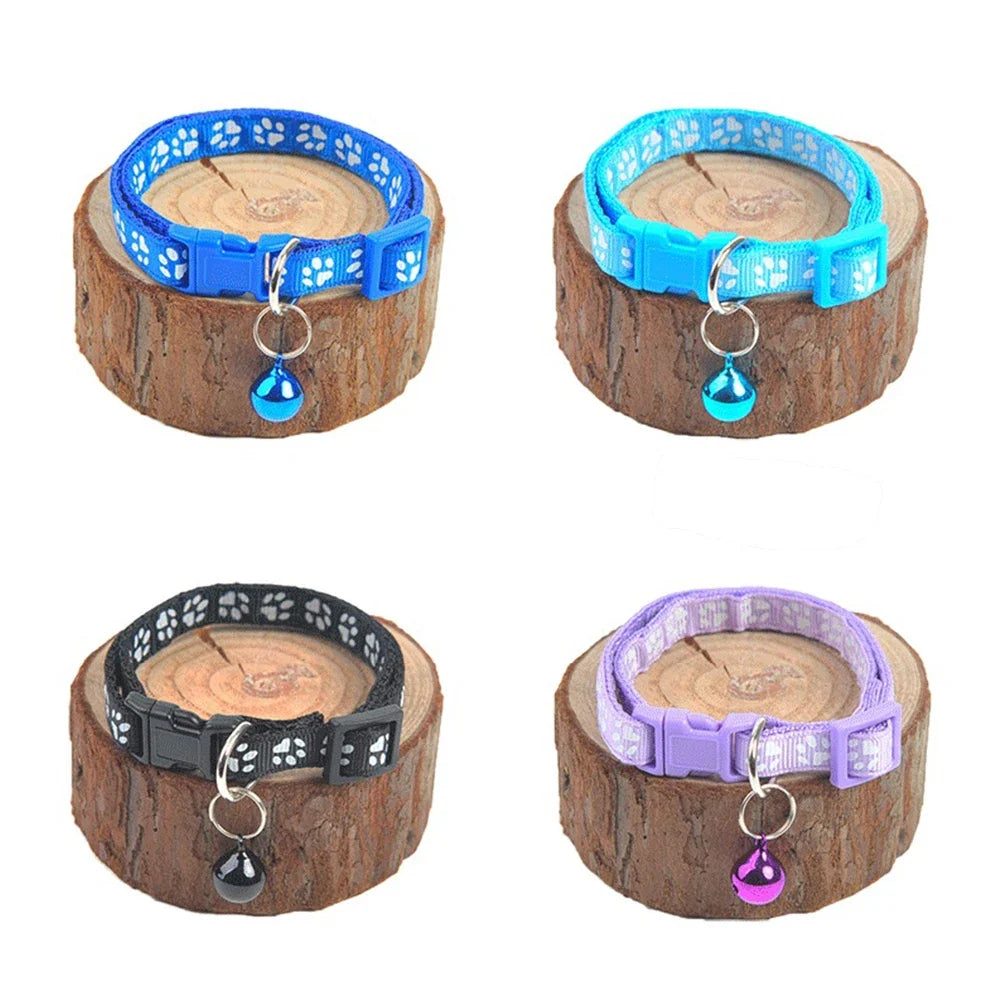 Colorful Pet Pattern Small Dog and Cat - ProPawPet.com