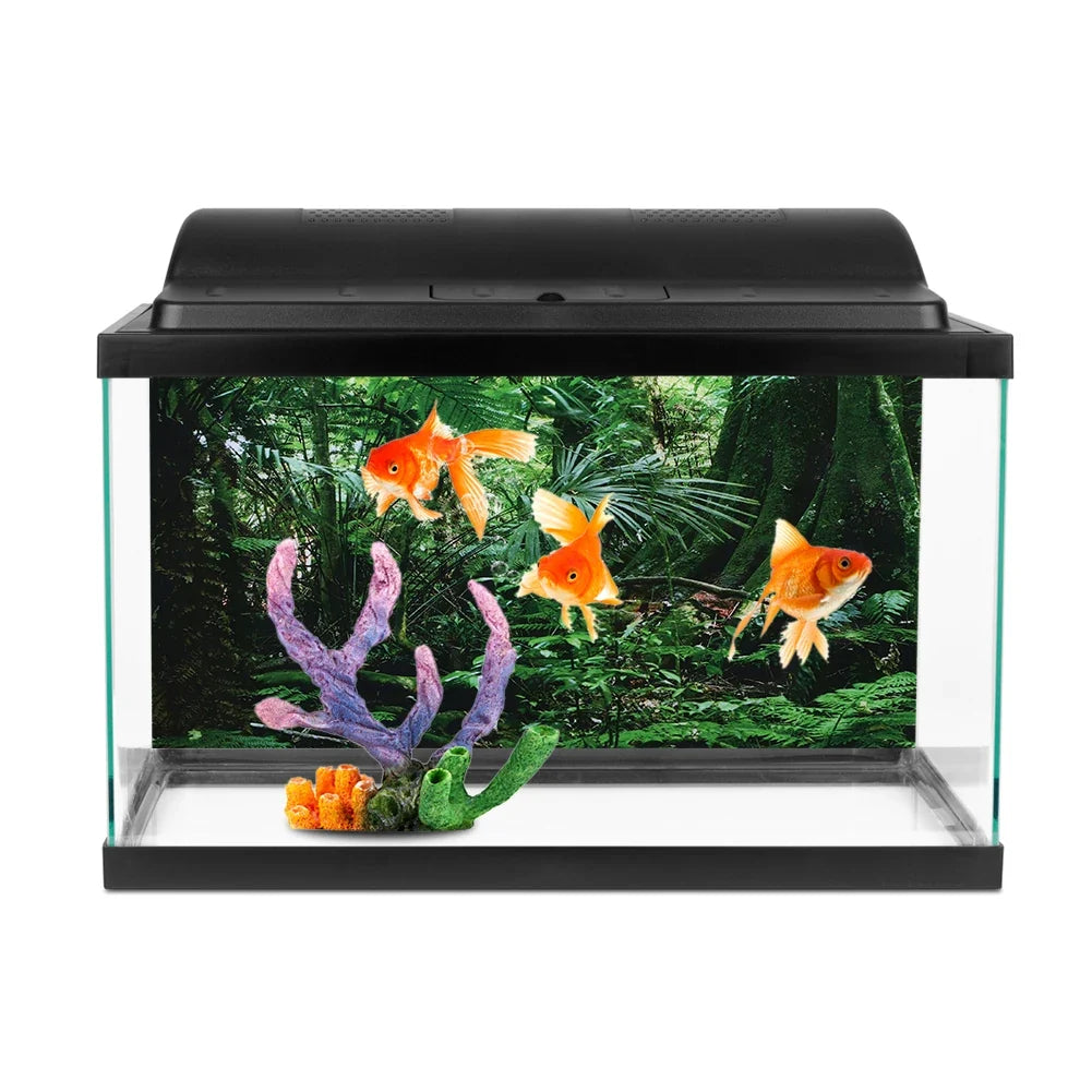 PVC Reptile Box Rainforest Background Poster - ProPawPet.com