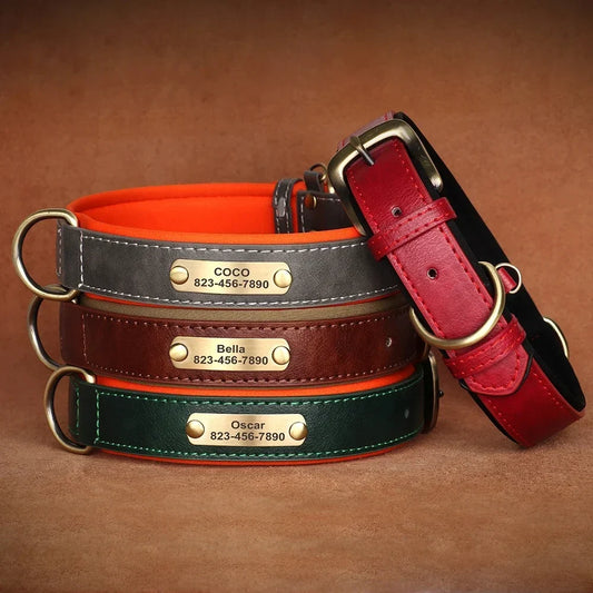 Customized Dog Collar Soft Padded Leather - ProPawPet.com