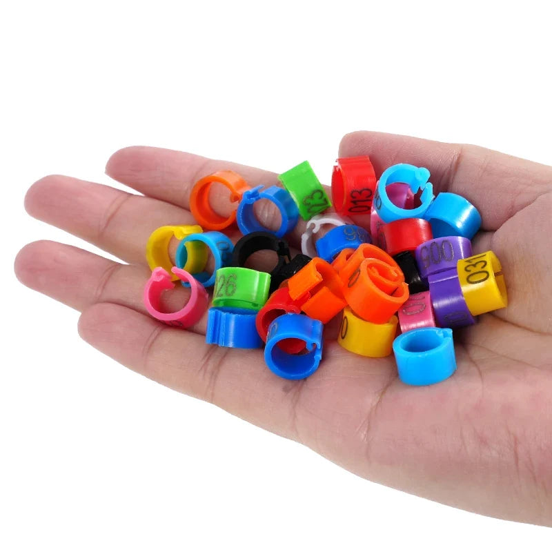 Pigeon Foot Ring Feeding Supplies Bird Breeding Identity – 11 Colors