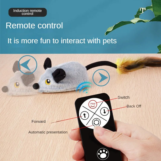 Simulated Little Mouse and Cat Self - ProPawPet.com