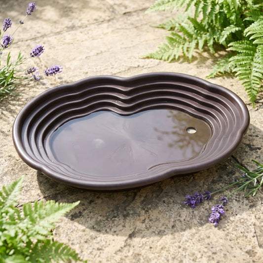Large Turtle Bathing Pool Ramp Reptile Water - ProPawPet.com