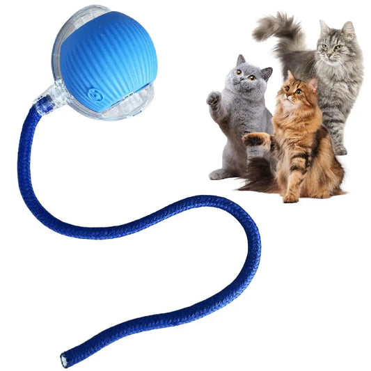 Automatic Rolling Ball with Tail Lamp USB - ProPawPet.com