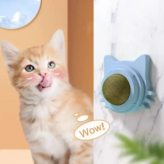 Catnip Balls Funny Lickable Cat Snack Catnip - ProPawPet.com