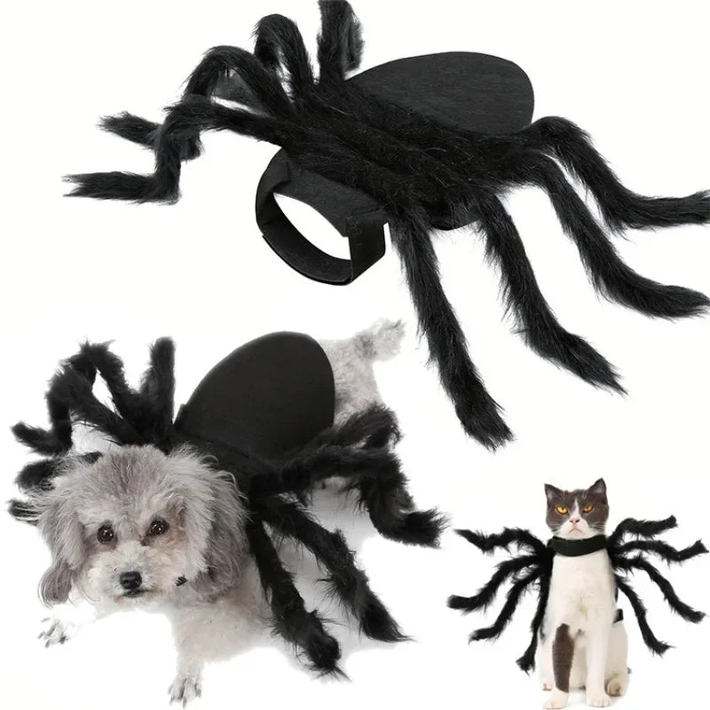 Pet Spider Costume Realistic Furry Design - ProPawPet.com