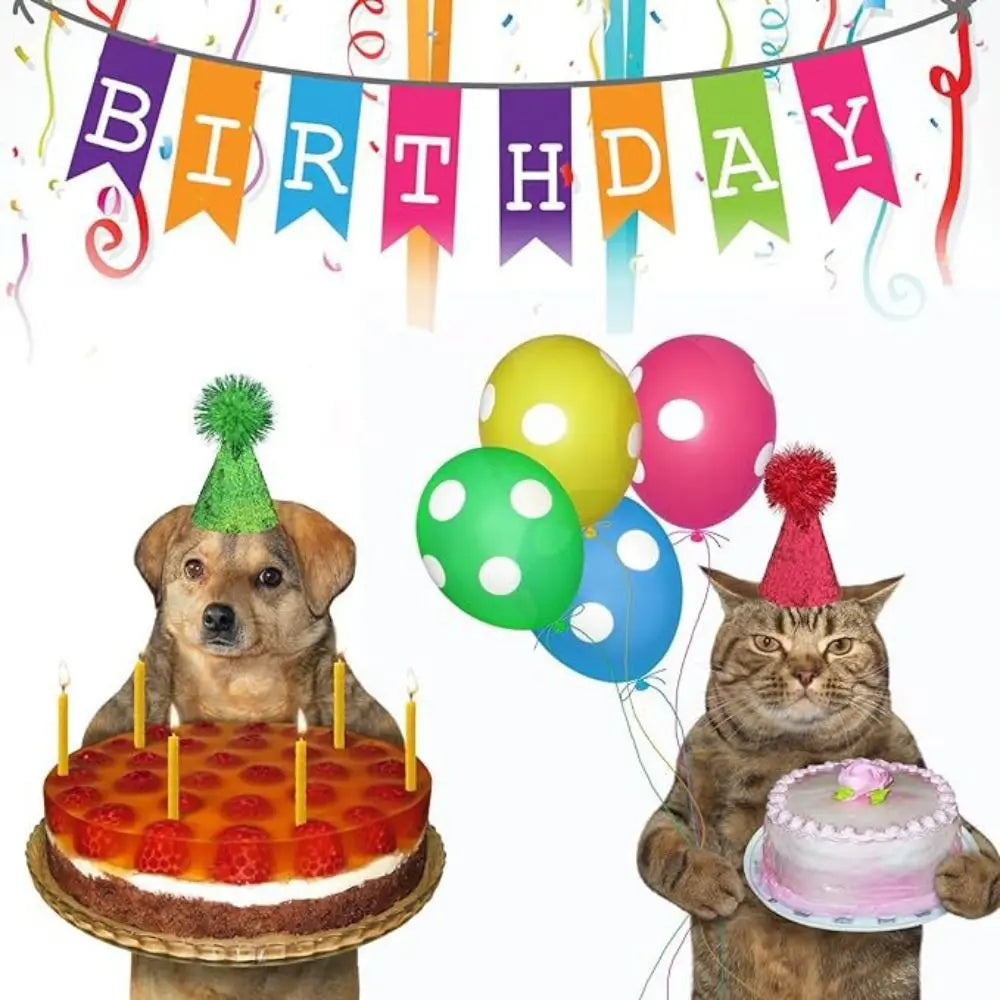 Creative Glitter Dog Birthday Hat Colorful - ProPawPet.com