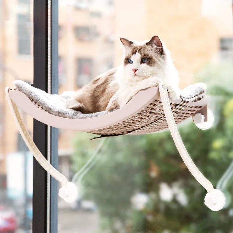 Cute Cat Hanging Beds Comfortable Sunny - ProPawPet.com