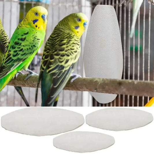 10pcs Cuttlefish Sepia Bone Parrot Chewing - ProPawPet.com
