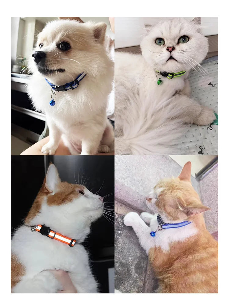 Cat Collar Colors Reflective Breakaway Neck - ProPawPet.com
