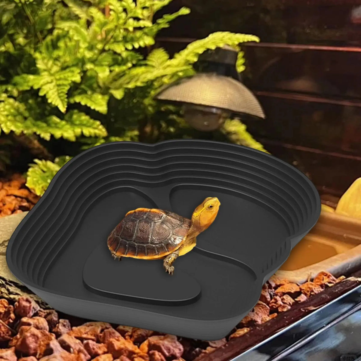 Reptile Water Bowl with Ramp Easy Access Feeding Dish Turtle – 3 Colors