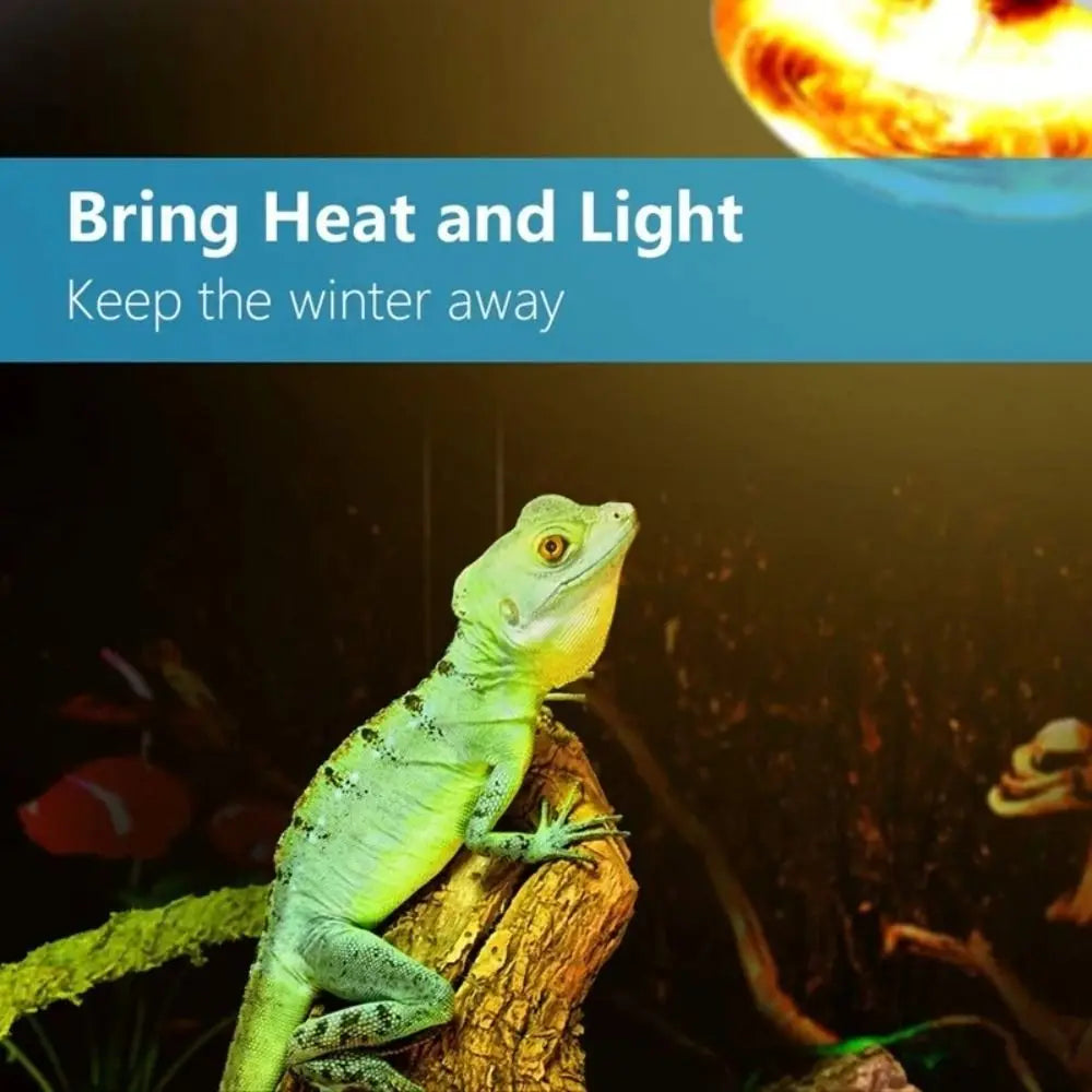 NEW 220V Reptile Heat Lamp Thermal Bulb - ProPawPet.com